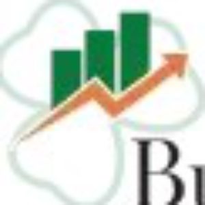 Profile photo of Business Plan